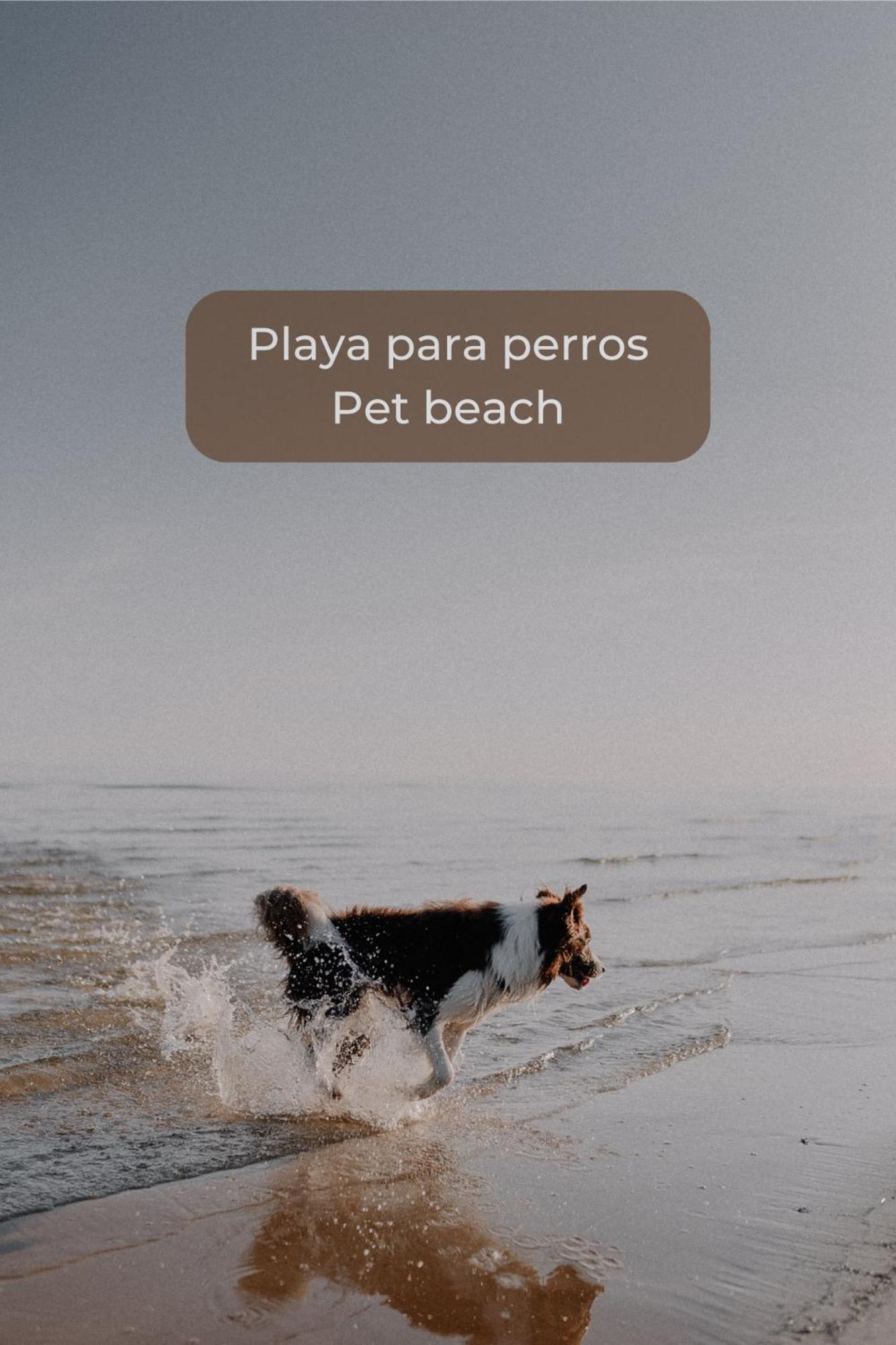 Canelita Con Piscina, Soleada Terraza Amplia Wifi Y Parking Corralejo Bagian luar foto